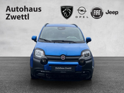 Fiat Panda Gebrauchtwagen