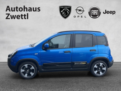 Fiat Panda Gebrauchtwagen