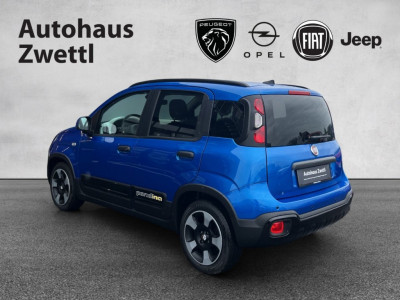 Fiat Panda Gebrauchtwagen