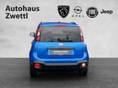 Fiat Panda Gebrauchtwagen