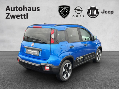 Fiat Panda Gebrauchtwagen