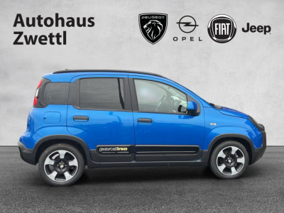 Fiat Panda Gebrauchtwagen