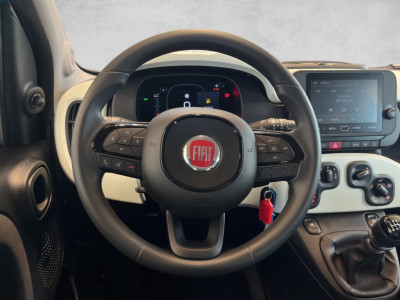 Fiat Panda Gebrauchtwagen Fiat Panda Gebrauchtwagen