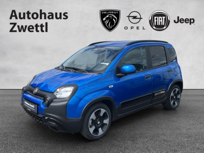 Fiat Panda Gebrauchtwagen Fiat Panda Gebrauchtwagen