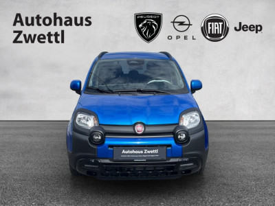 Fiat Panda Gebrauchtwagen Fiat Panda Gebrauchtwagen