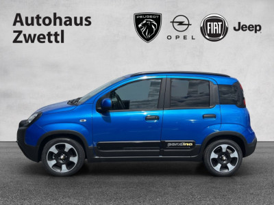 Fiat Panda Gebrauchtwagen Fiat Panda Gebrauchtwagen