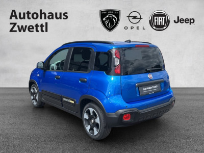 Fiat Panda Gebrauchtwagen Fiat Panda Gebrauchtwagen