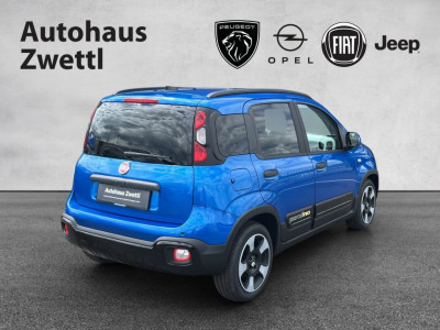 Fiat Panda Gebrauchtwagen Fiat Panda Gebrauchtwagen