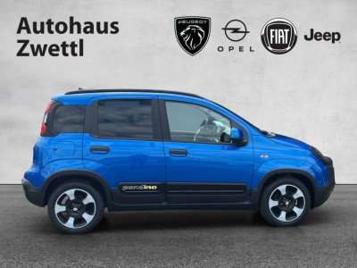 Fiat Panda Gebrauchtwagen Fiat Panda Gebrauchtwagen