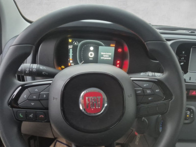 Fiat Panda Gebrauchtwagen