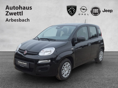 Fiat Panda Gebrauchtwagen