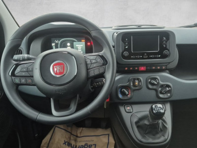 Fiat Panda Gebrauchtwagen