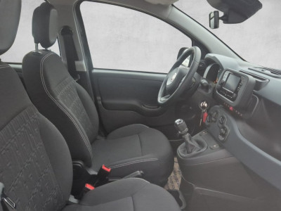 Fiat Panda Gebrauchtwagen