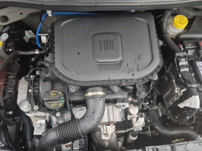 Fiat Panda Gebrauchtwagen