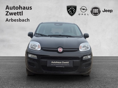 Fiat Panda Gebrauchtwagen