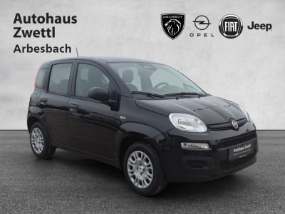 Fiat Panda Gebrauchtwagen