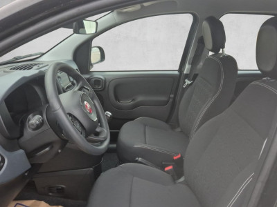 Fiat Panda Gebrauchtwagen