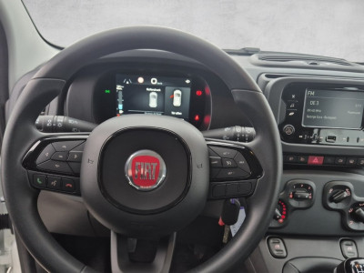 Fiat Pandina Gebrauchtwagen