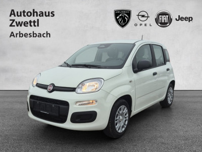 Fiat Panda Gebrauchtwagen