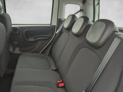 Fiat Pandina Gebrauchtwagen
