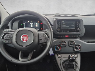 Fiat Pandina Gebrauchtwagen