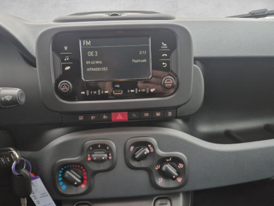 Fiat Pandina Gebrauchtwagen