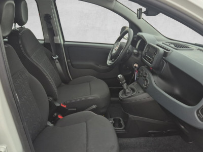 Fiat Pandina Gebrauchtwagen