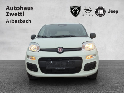 Fiat Pandina Gebrauchtwagen