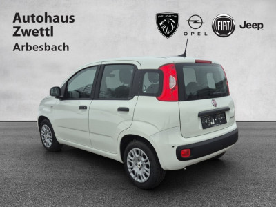 Fiat Pandina Gebrauchtwagen