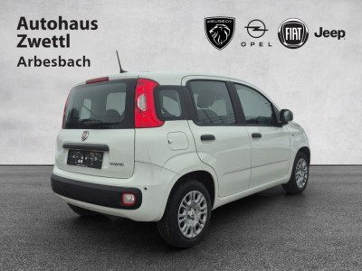 Fiat Pandina Gebrauchtwagen