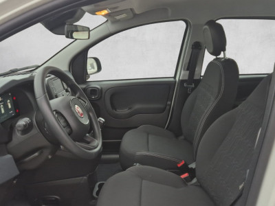 Fiat Pandina Gebrauchtwagen