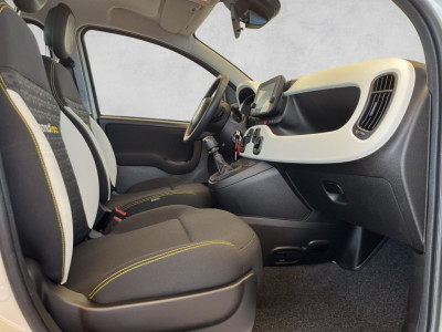 Fiat Panda Gebrauchtwagen Fiat Panda Gebrauchtwagen