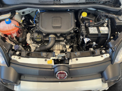 Fiat Panda Gebrauchtwagen Fiat Panda Gebrauchtwagen