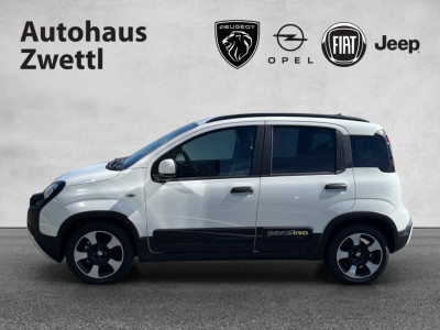 Fiat Panda Gebrauchtwagen Fiat Panda Gebrauchtwagen