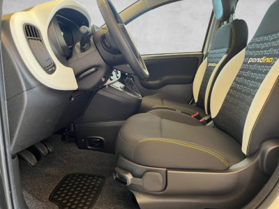 Fiat Panda Gebrauchtwagen Fiat Panda Gebrauchtwagen