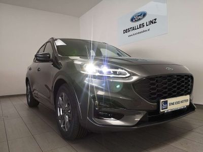 Ford Kuga Neuwagen