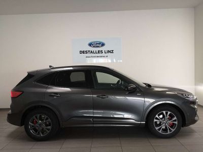 Ford Kuga Neuwagen