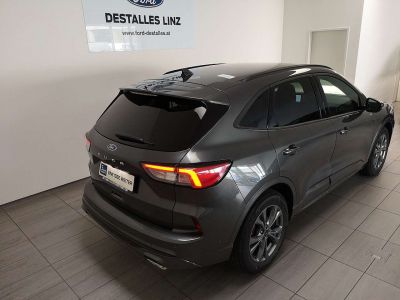 Ford Kuga Neuwagen