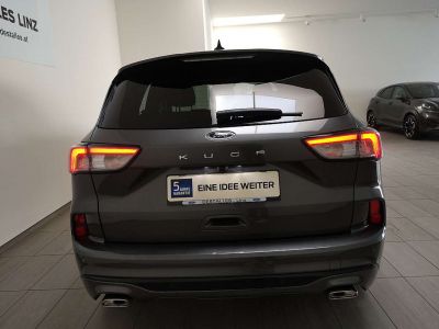 Ford Kuga Neuwagen