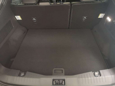 Ford Mustang Mach-E Vorführwagen