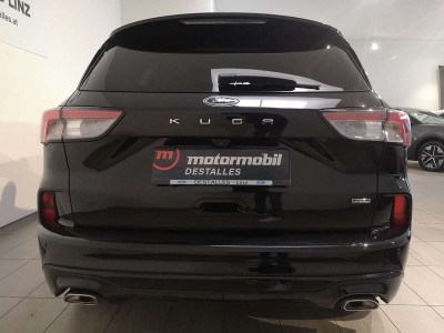 Ford Kuga Gebrauchtwagen