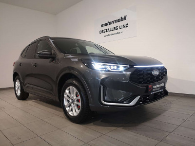 Ford Kuga Vorführwagen