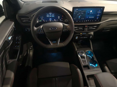 Ford Kuga Vorführwagen