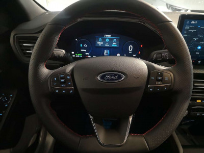 Ford Kuga Vorführwagen