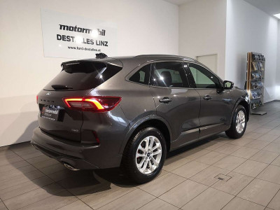 Ford Kuga Vorführwagen