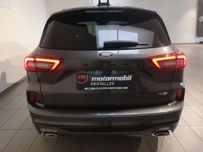 Ford Kuga Vorführwagen