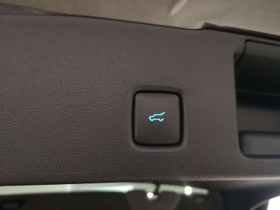 Ford Kuga Vorführwagen