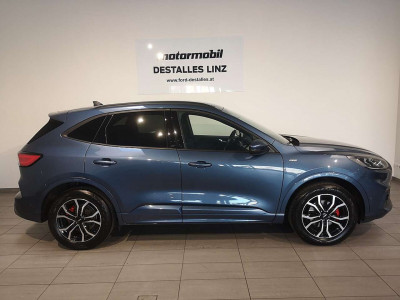 Ford Kuga Gebrauchtwagen