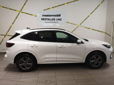 Ford Kuga Neuwagen