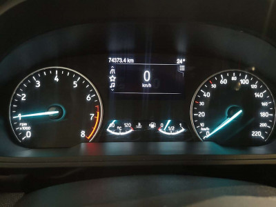 Ford EcoSport Gebrauchtwagen